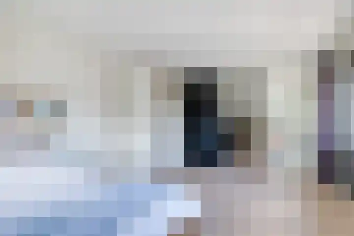 Zilverschoon 28 Eelde thumbnail 39