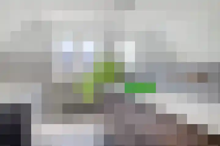 Zilverschoon 28 Eelde thumbnail 40