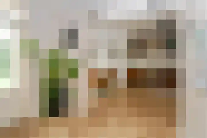 Zilverschoon 28 Eelde thumbnail 44