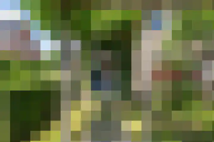 Zilverschoon 28 Eelde thumbnail 48