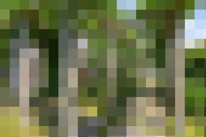 Zilverschoon 28 Eelde thumbnail 49