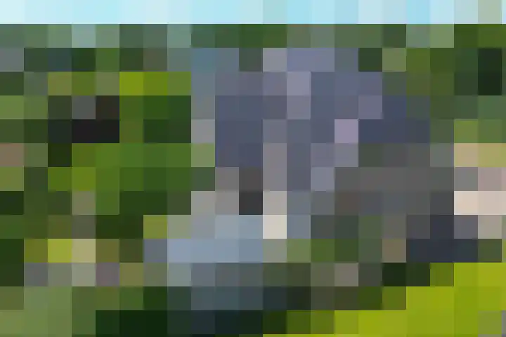 Zilverschoon 28 Eelde thumbnail 5