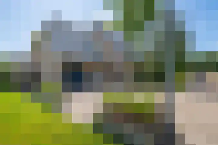 Zilverschoon 28 Eelde thumbnail 6