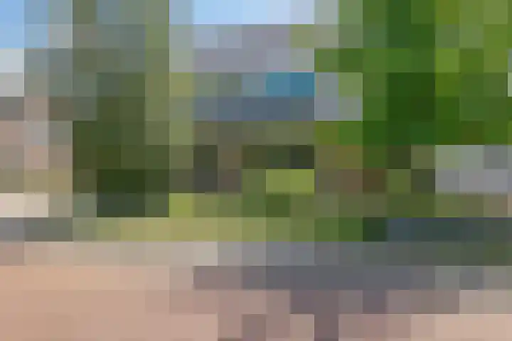 Zilverschoon 28 Eelde thumbnail 8
