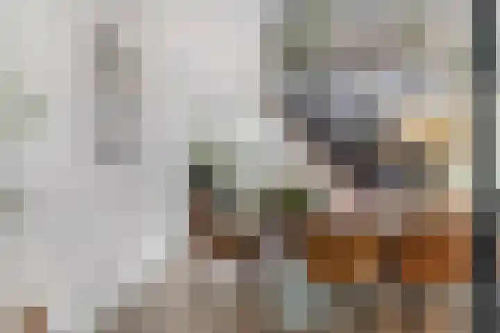 Zilverschoon 28 Eelde thumbnail 9
