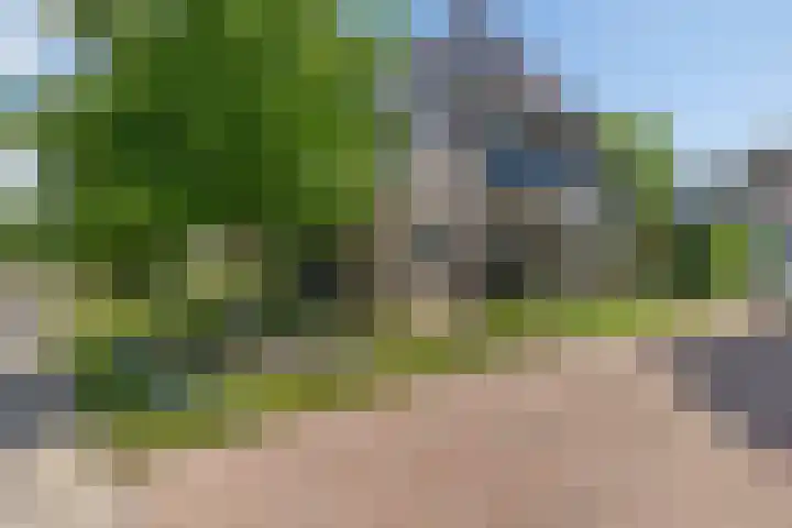 Zilverschoon 28 Eelde thumbnail 9