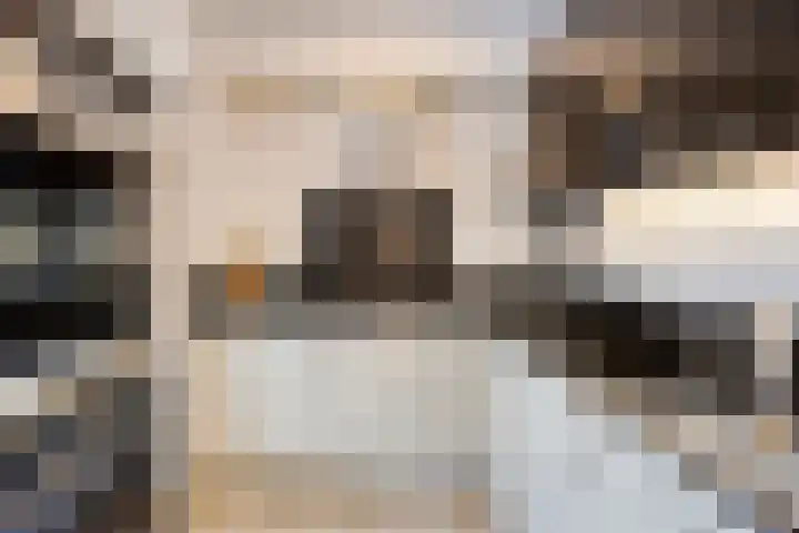 Zilverschoon 3 Venray thumbnail 14