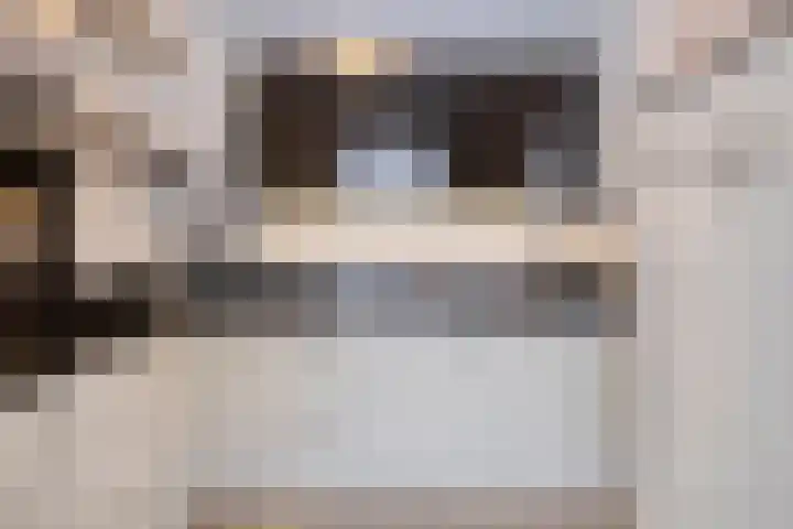 Zilverschoon 3 Venray thumbnail 15