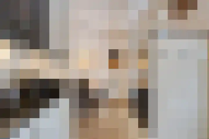 Zilverschoon 3 Venray thumbnail 16