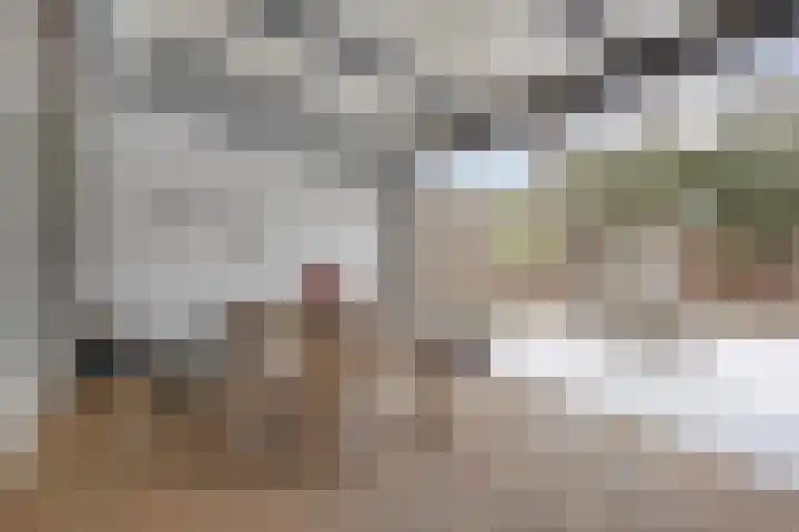 Zilverschoon 3 Venray thumbnail 29