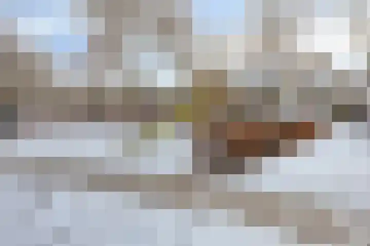 Zilverschoon 3 Venray thumbnail 33