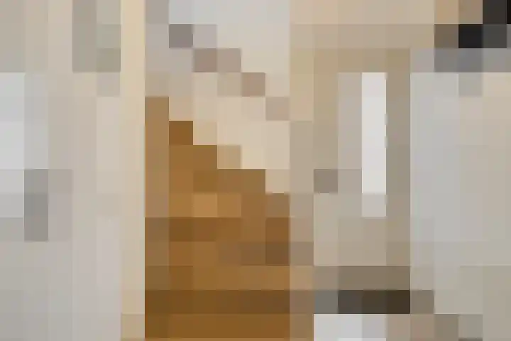 Zilverschoon 3 Venray thumbnail 6