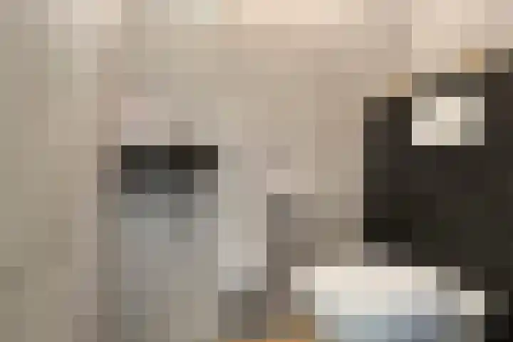 Zilverschoon 3 Venray thumbnail 7