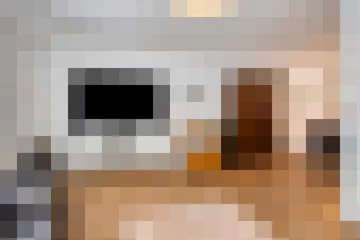Zilverschoon 3 Venray thumbnail 9