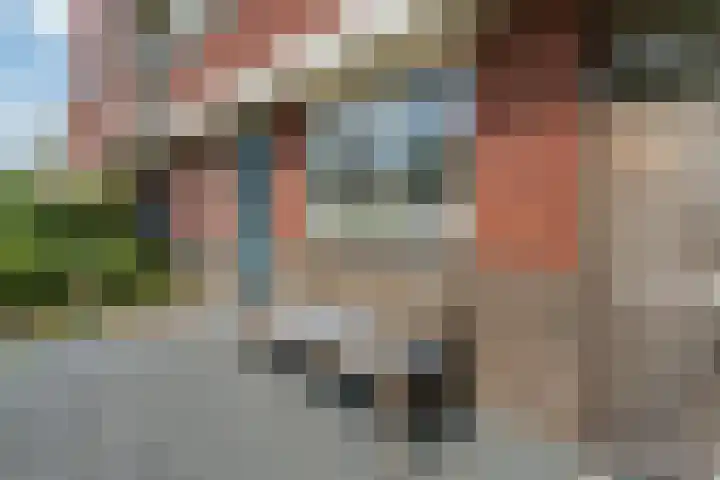 Zilverschoon 30 Bodegraven thumbnail 11