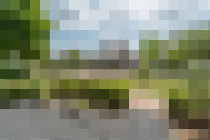 Zilverschoon 30 Bodegraven thumbnail 12