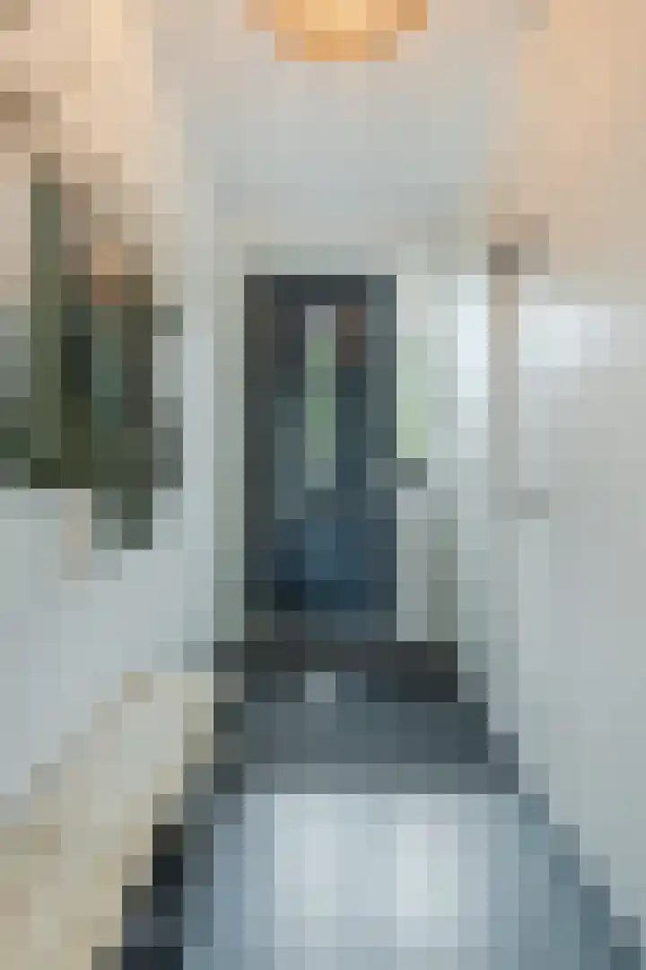 Zilverschoon 30 Bodegraven thumbnail 13