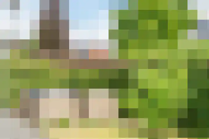 Zilverschoon 30 Bodegraven thumbnail 22