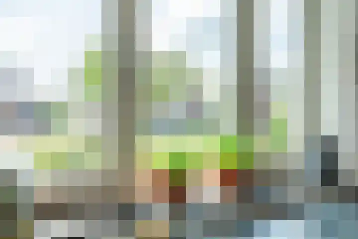 Zilverschoon 30 Bodegraven thumbnail 29