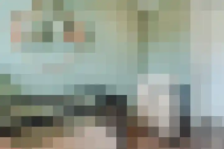 Zilverschoon 30 Bodegraven thumbnail 34