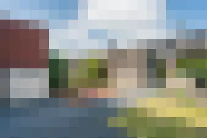 Zilverschoon 30 Bodegraven thumbnail 48