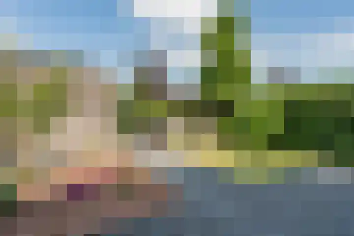 Zilverschoon 30 Bodegraven thumbnail 49