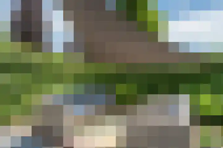 Zilverschoon 30 Bodegraven thumbnail 50