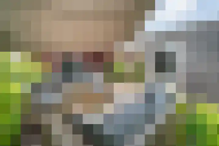 Zilverschoon 30 Bodegraven thumbnail 51