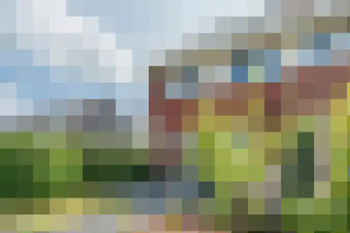 Zilverschoon 30 Bodegraven thumbnail 52