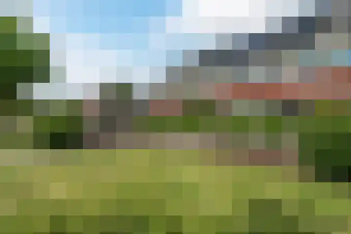 Zilverschoon 30 Bodegraven thumbnail 56