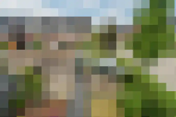 Zilverschoon 30 Bodegraven thumbnail 58