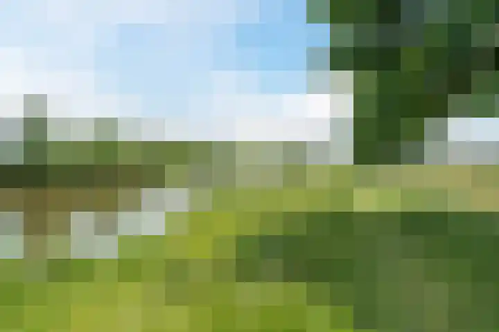 Zilverschoon 30 Bodegraven thumbnail 59