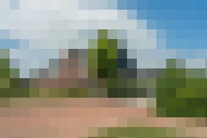 Zilverschoon 30 Bodegraven thumbnail 6