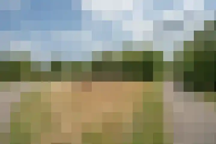 Zilverschoon 30 Bodegraven thumbnail 60