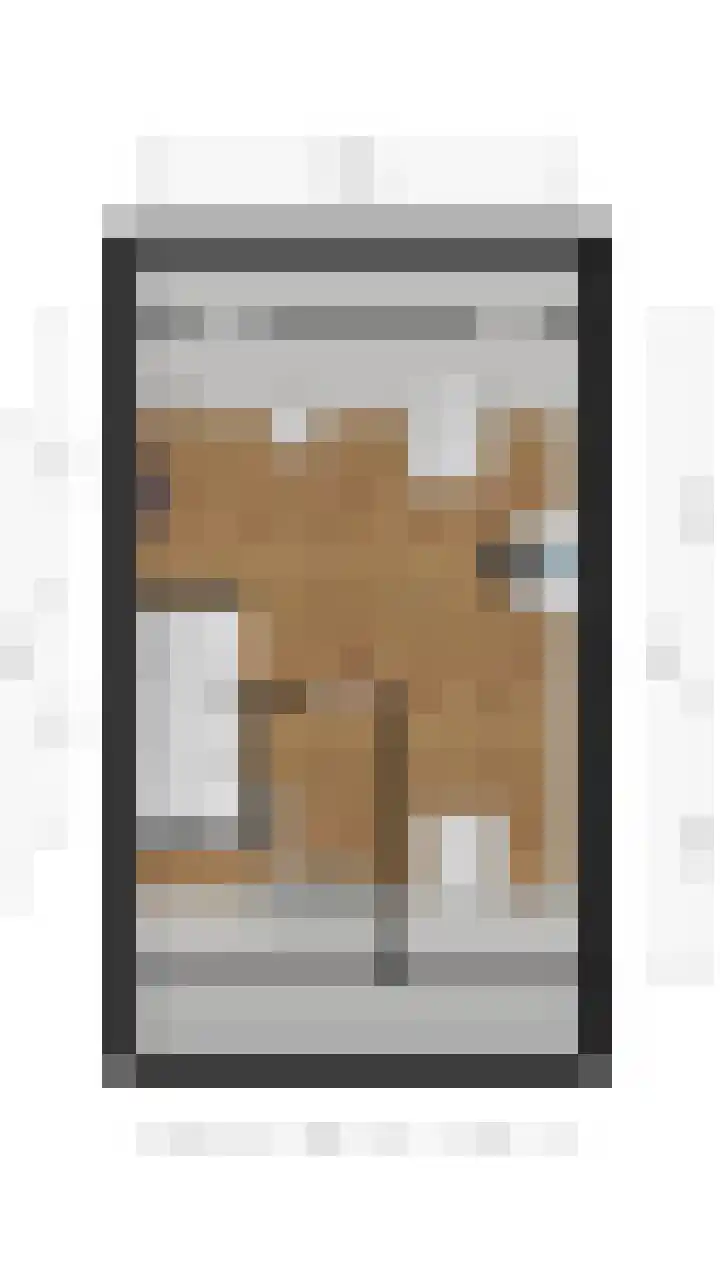 Zilverschoon 30 Bodegraven thumbnail 63