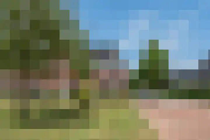 Zilverschoon 30 Bodegraven thumbnail 7