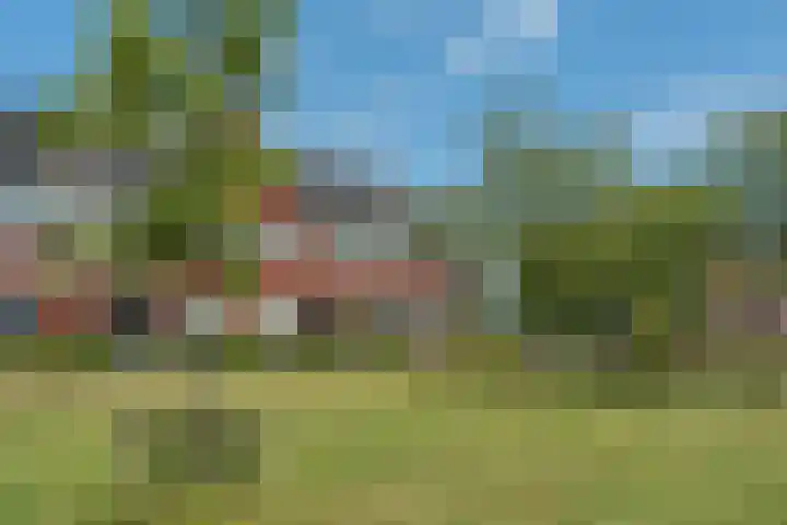Zilverschoon 30 Bodegraven thumbnail 8