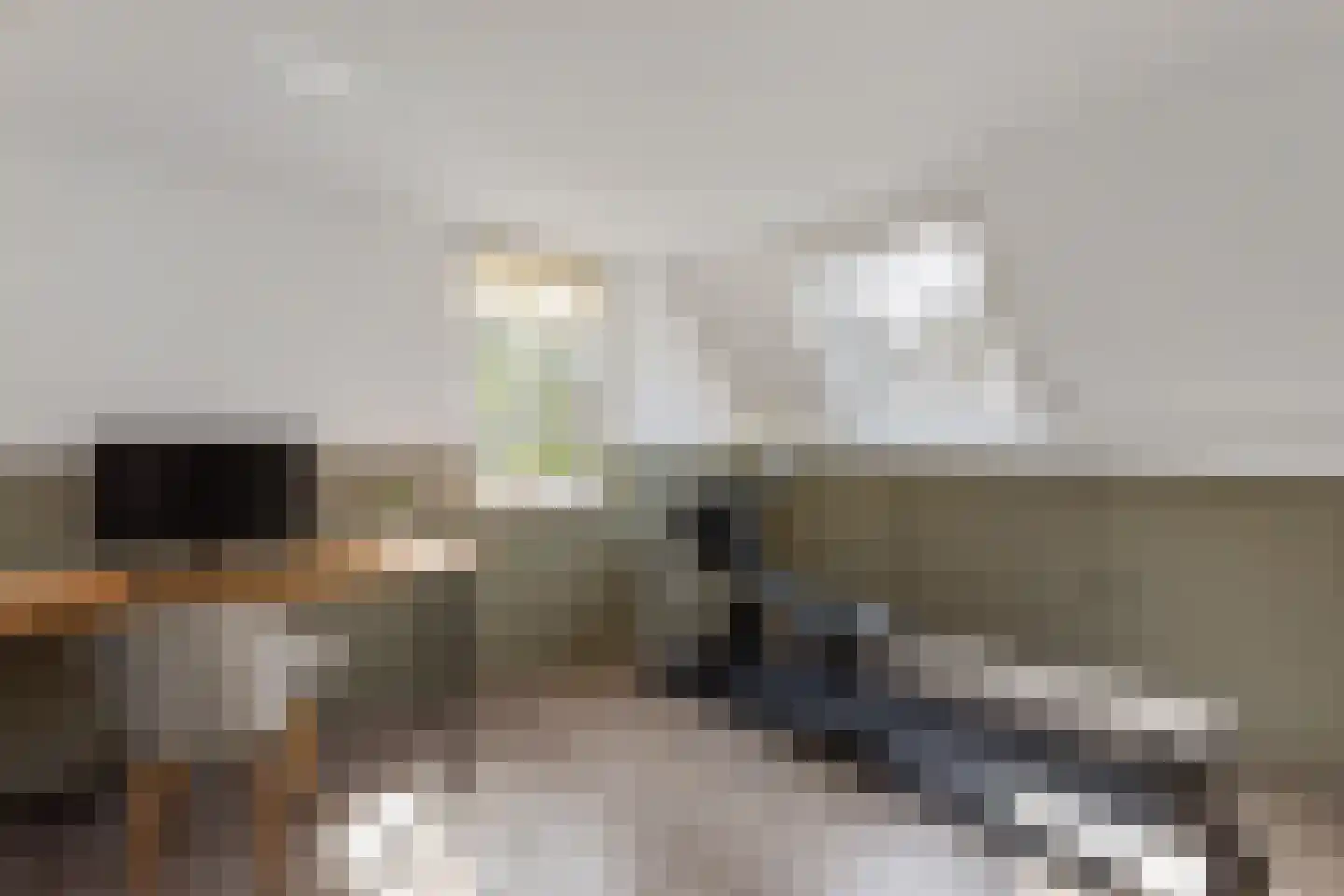 Zilverschoon 30 Oldenzaal thumbnail 17