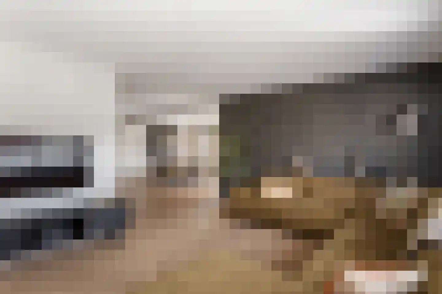 Zilverschoon 30 Oldenzaal thumbnail 8