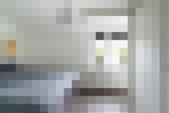 Zilverschoon 34 Werkendam thumbnail 11