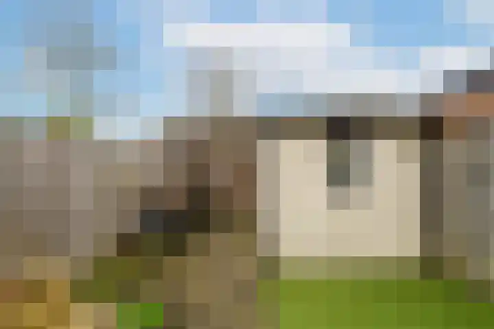 Zilverschoon 34 Werkendam thumbnail 22