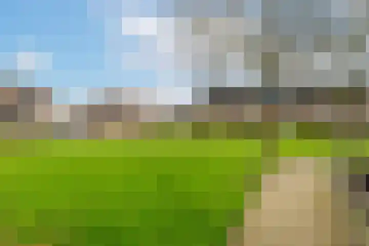 Zilverschoon 34 Werkendam thumbnail 24