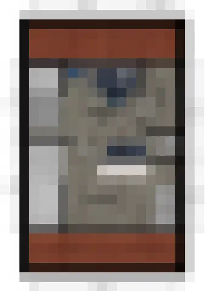 Zilverschoon 34 Werkendam thumbnail 29