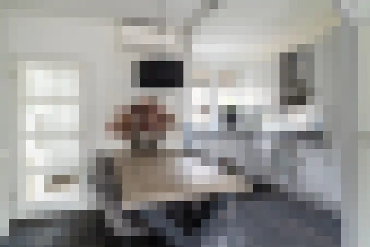 Zilverschoon 34 Werkendam thumbnail 6