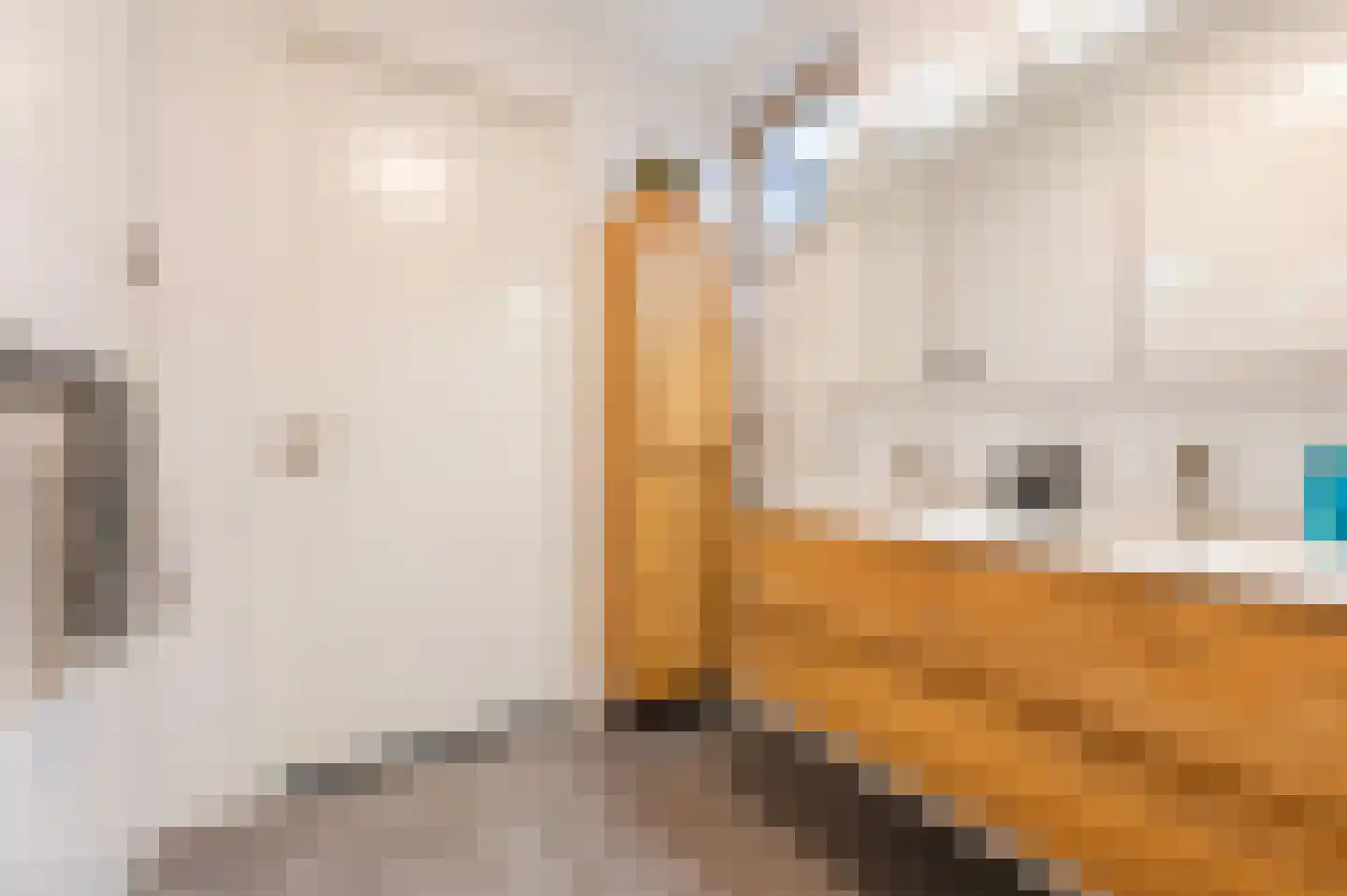 Zilverschoon 38 Veldhoven thumbnail 32