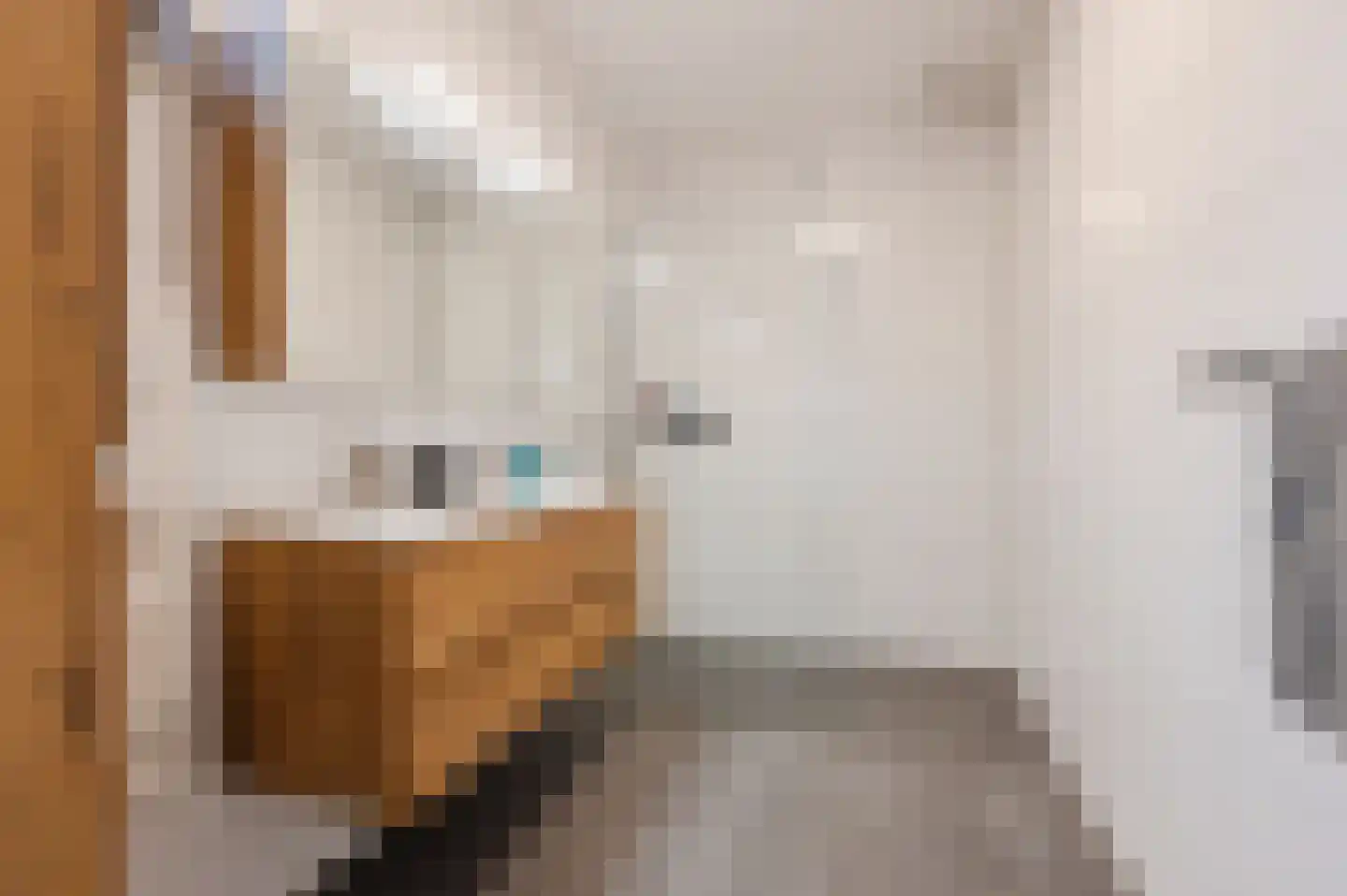 Zilverschoon 38 Veldhoven thumbnail 33