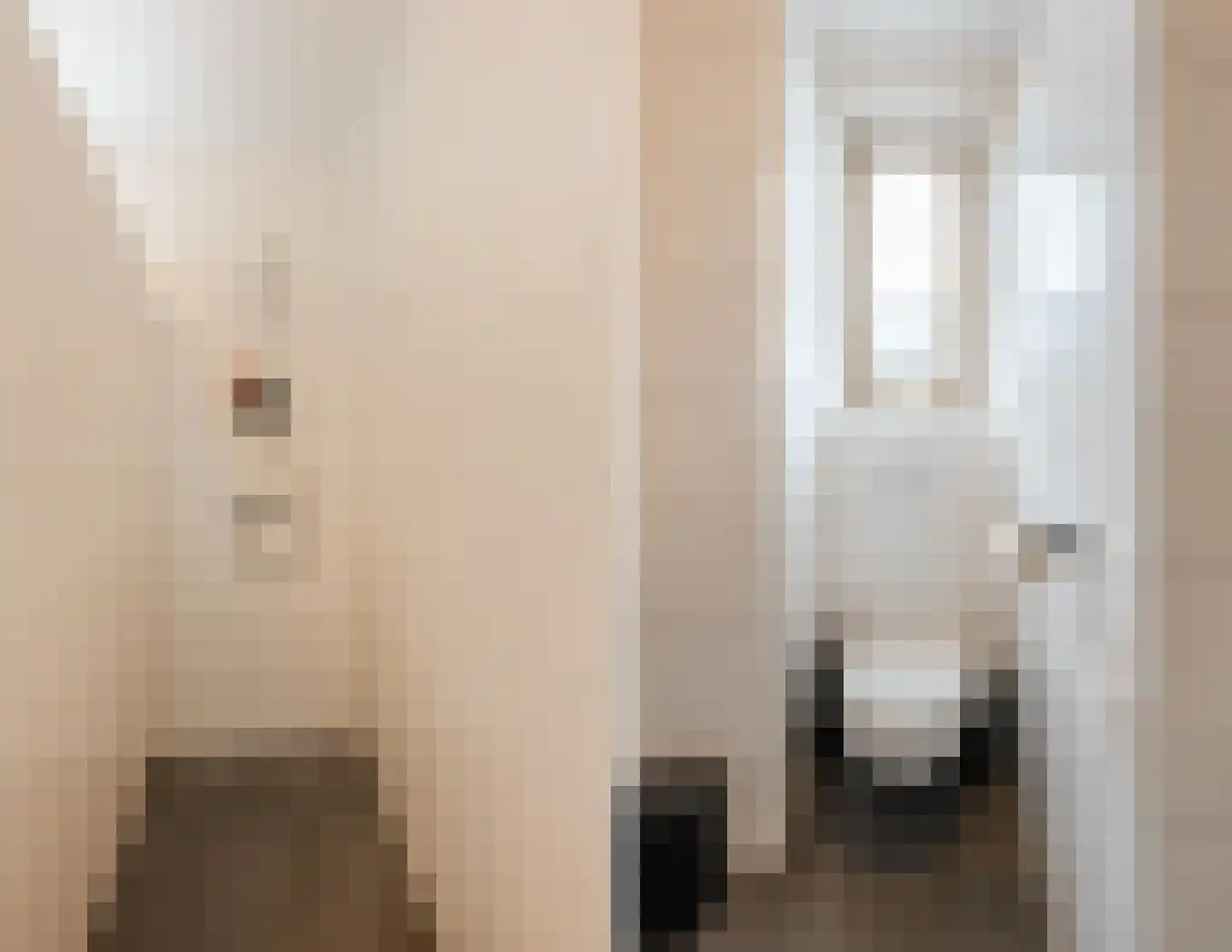 Zilverschoon 38 Veldhoven thumbnail 43