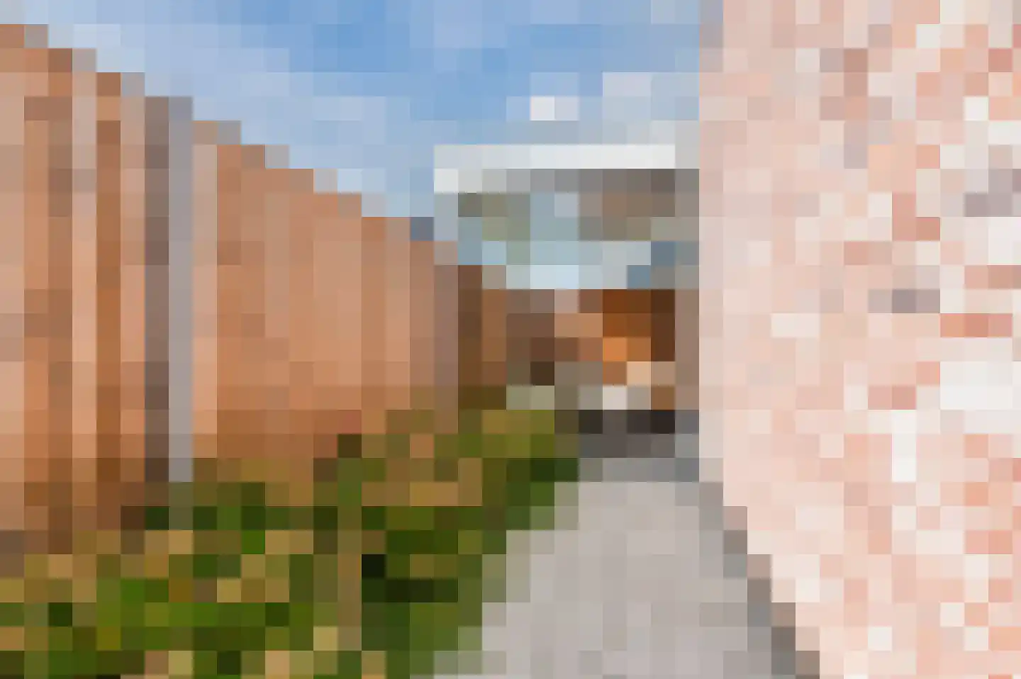Zilverschoon 38 Veldhoven thumbnail 50