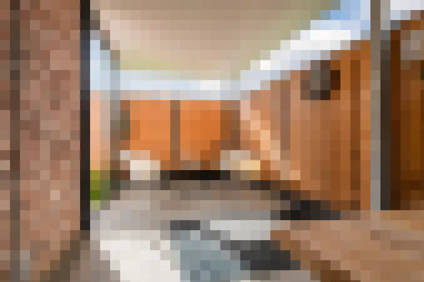 Zilverschoon 38 Veldhoven thumbnail 52