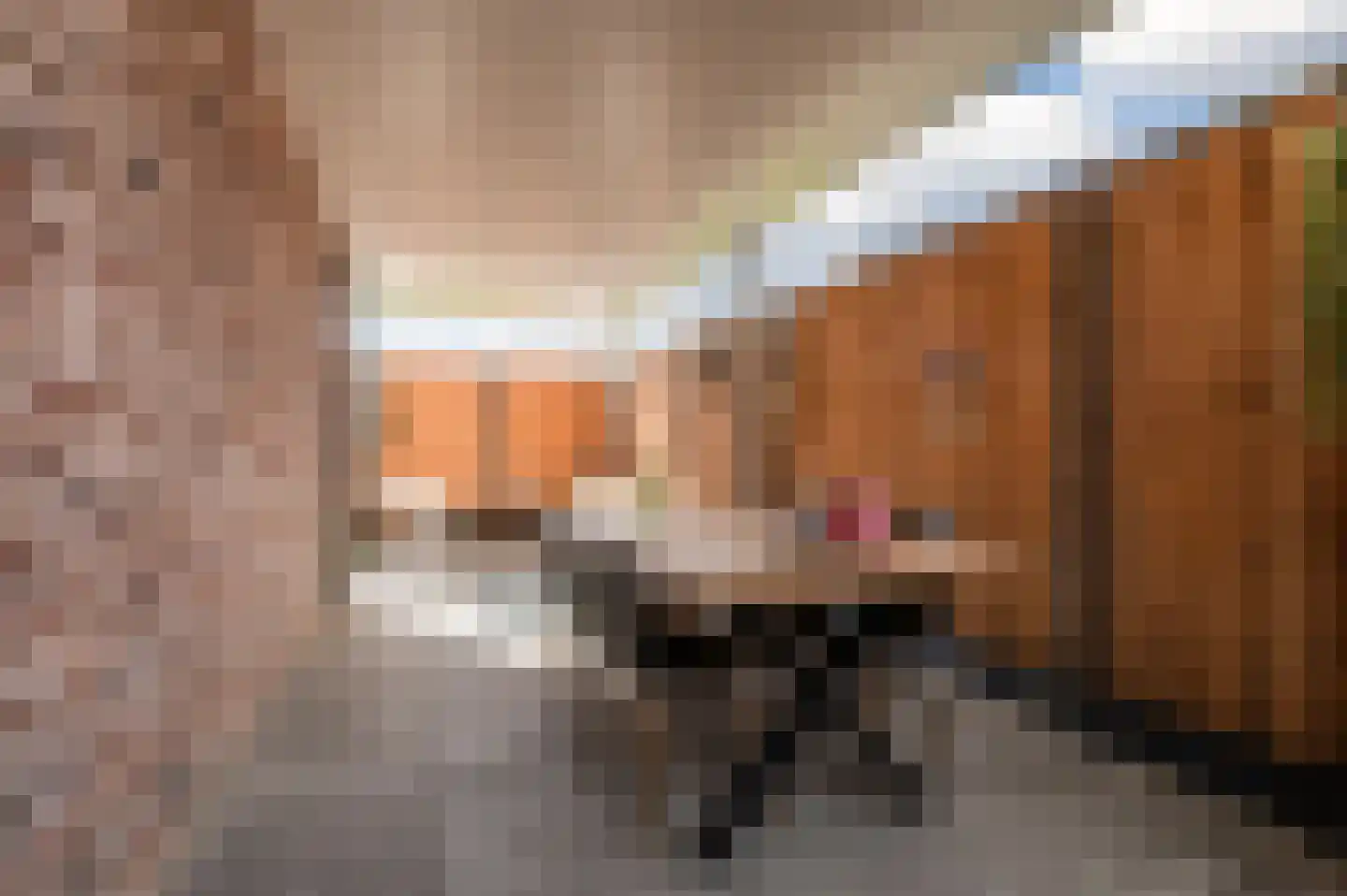 Zilverschoon 38 Veldhoven thumbnail 53